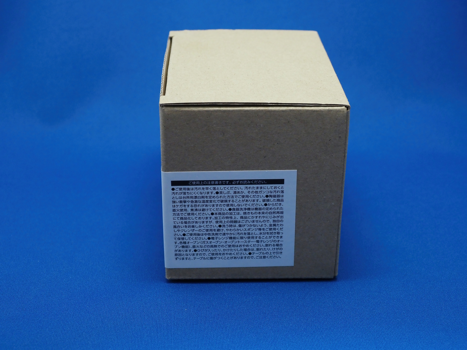 P1060002.jpg
