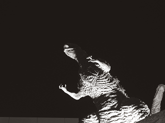 P1160031_thumb.png