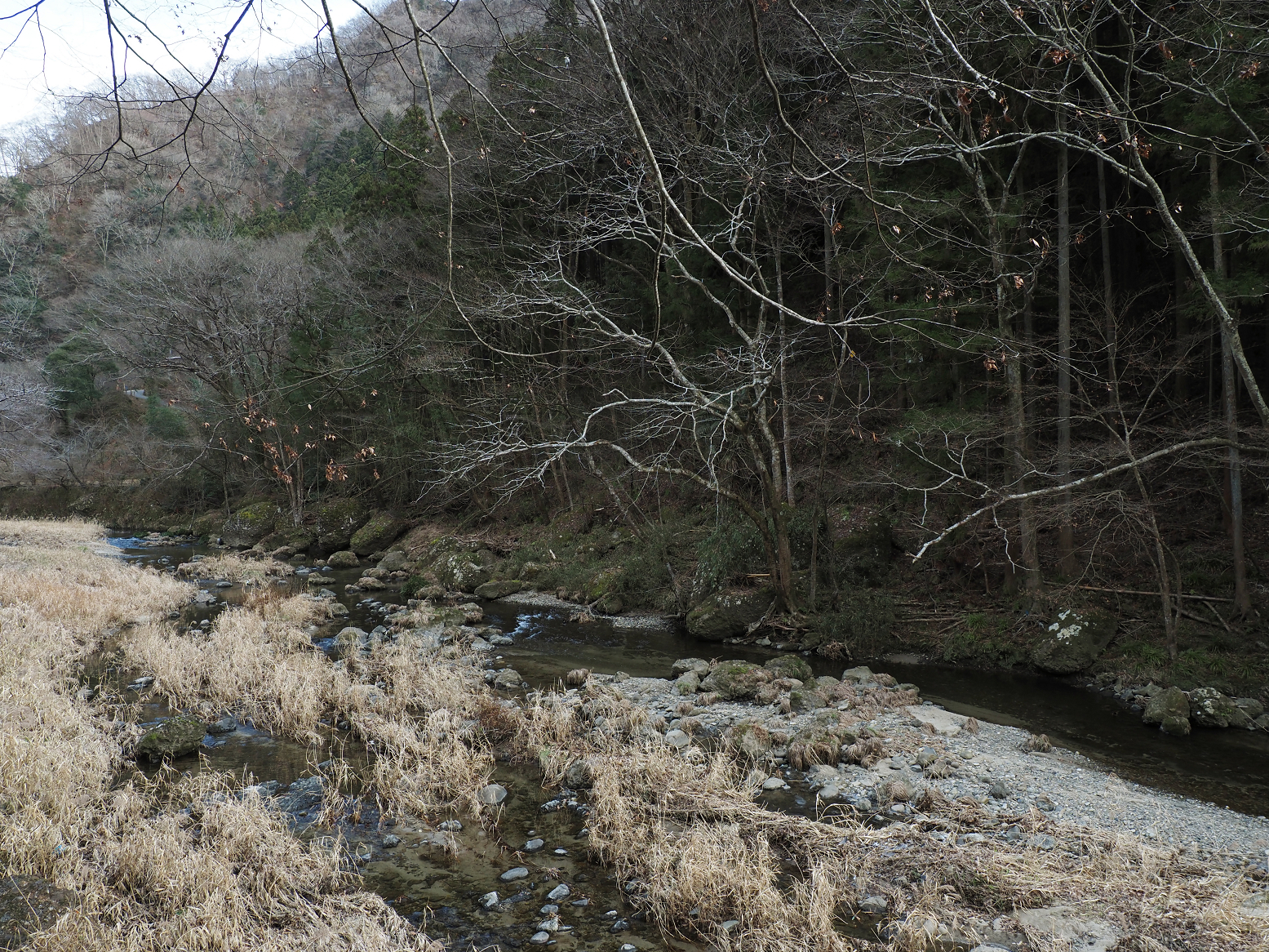 P1280106.jpg