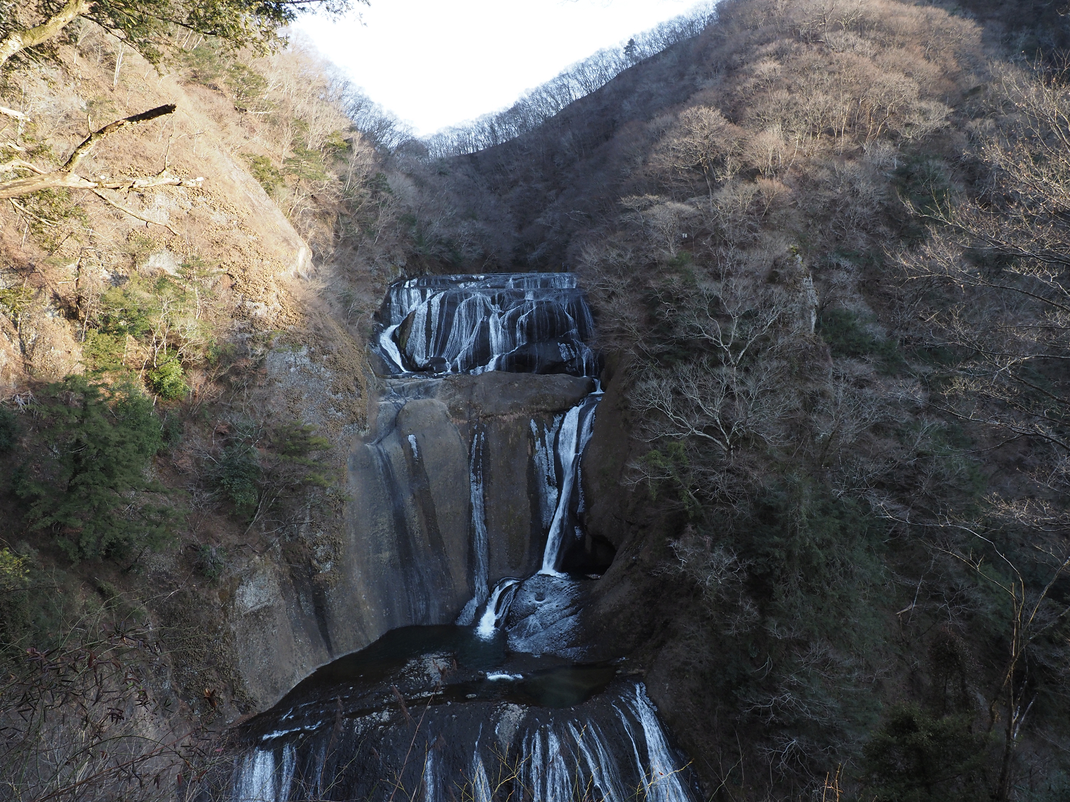 P1280146.jpg