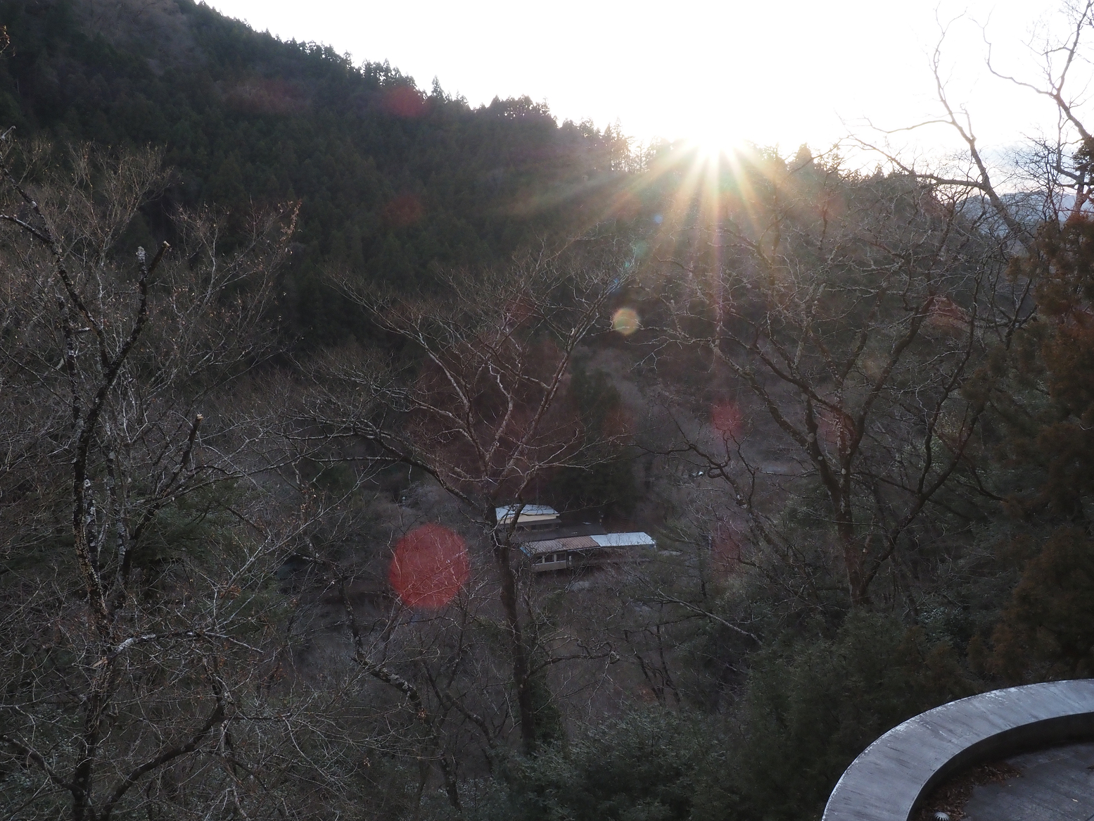 P1280163.jpg