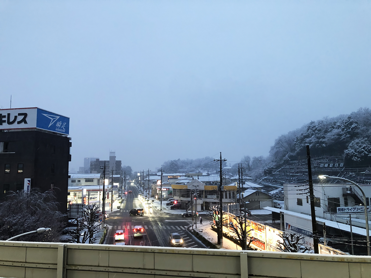 P2050050-18.jpg