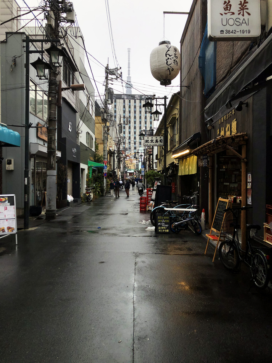 P2050050-70.jpg