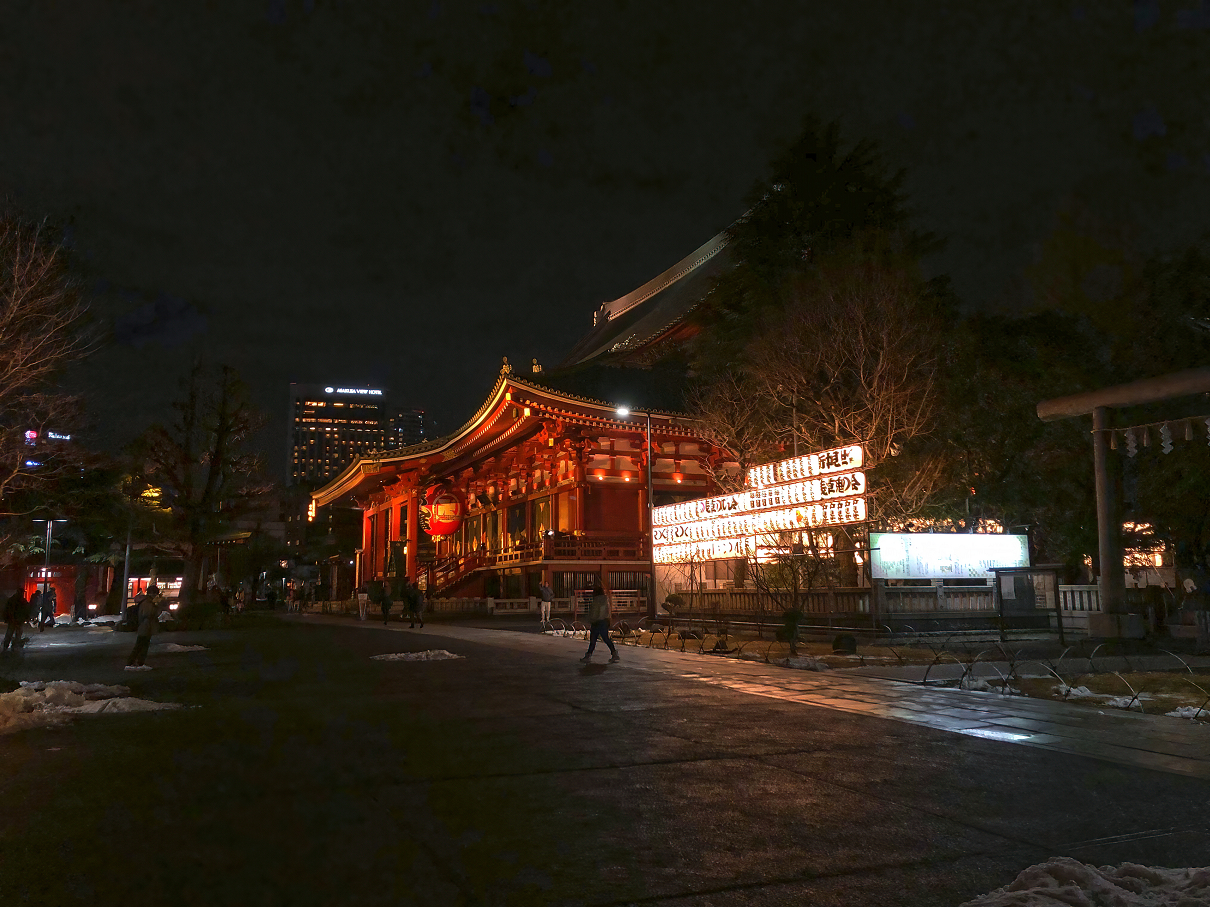 P2050050-84.jpg