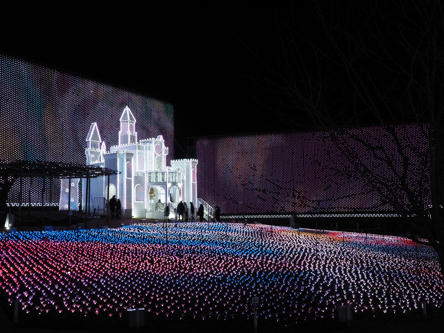 P2080175.jpg