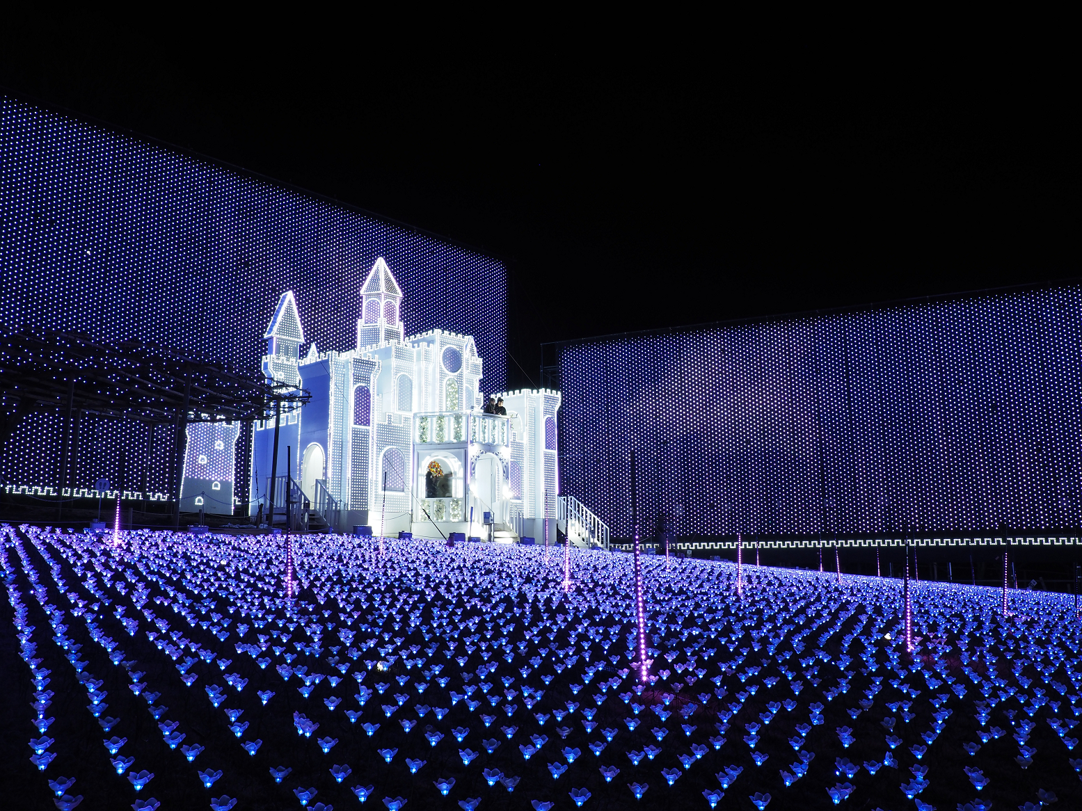 P2080176.jpg