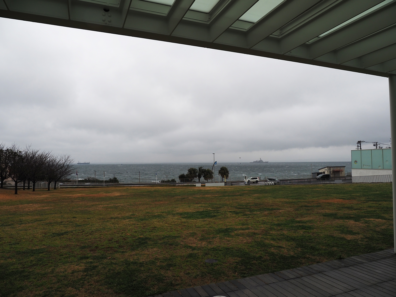 P2230286.jpg