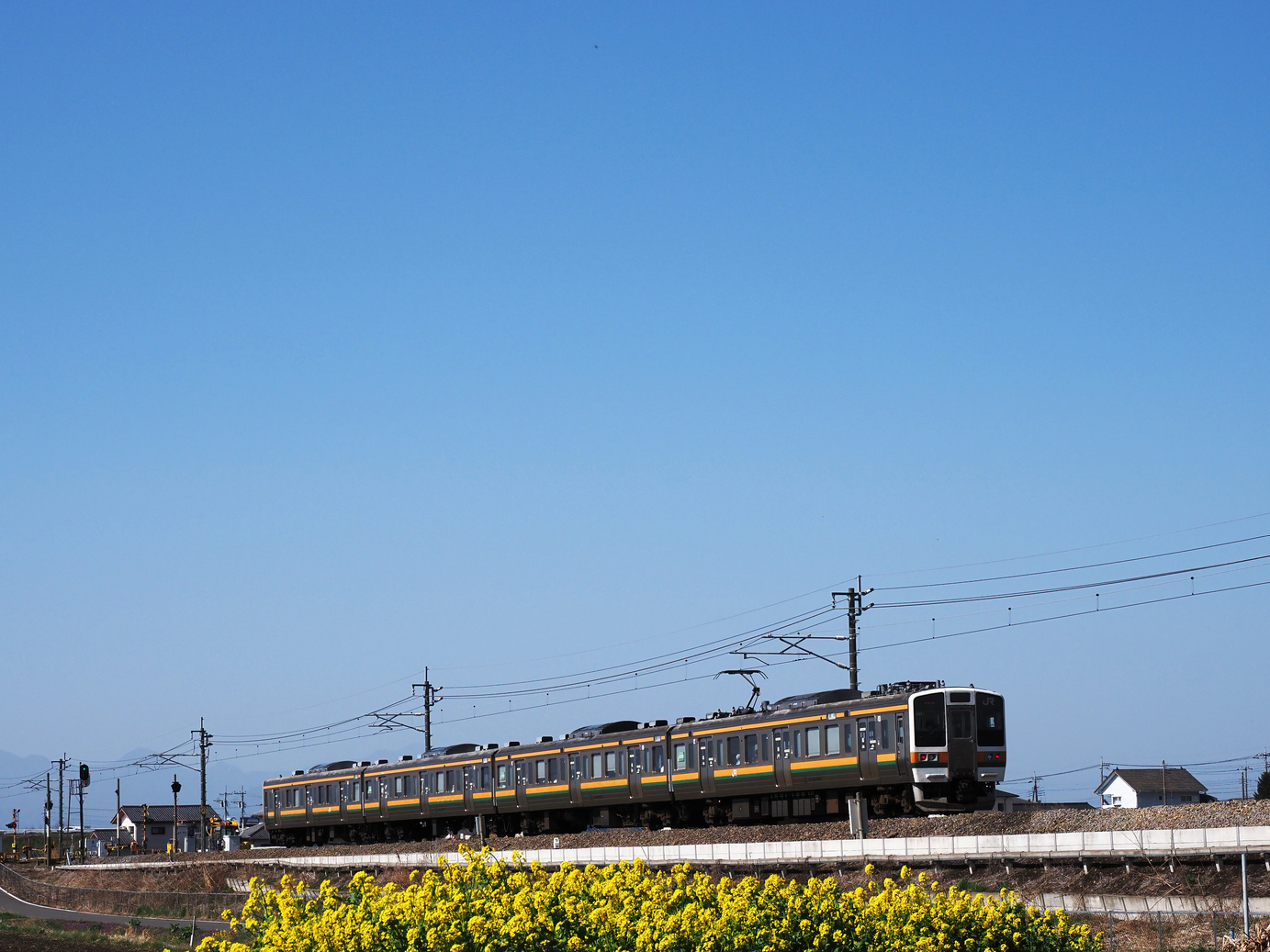 P3300049.jpg
