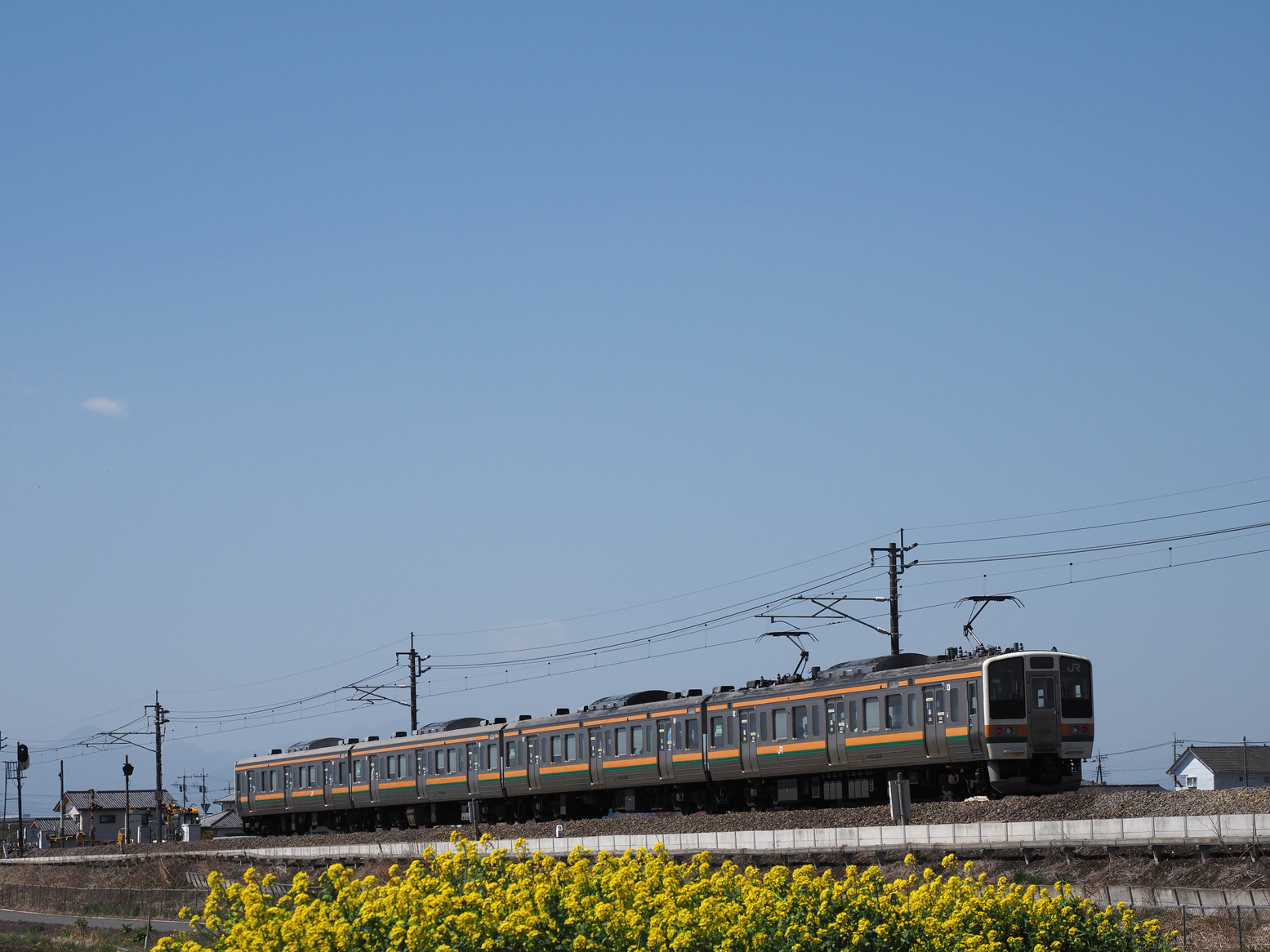 P3300167.jpg