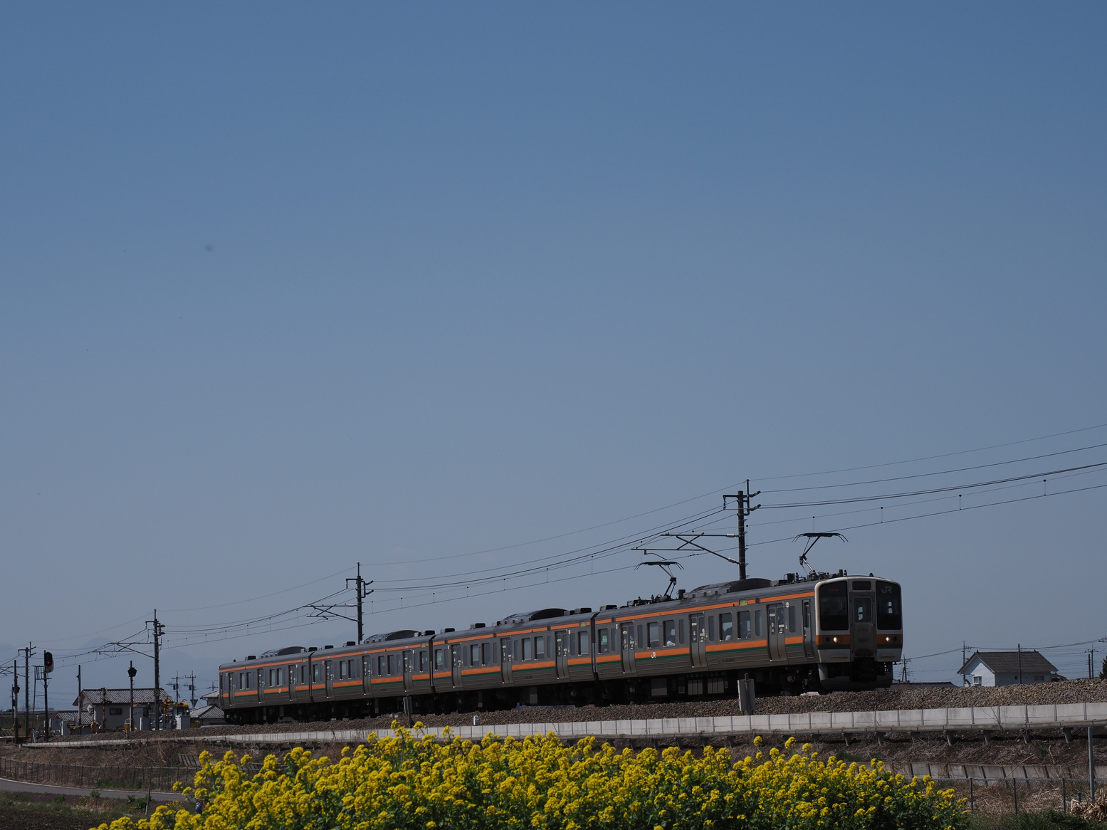 P3300262.jpg