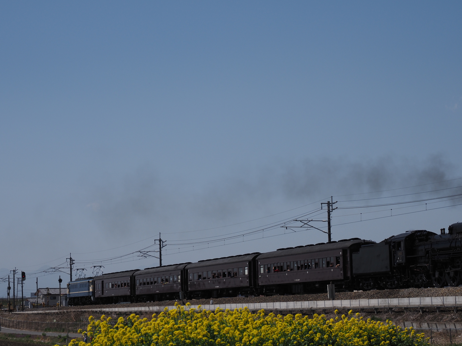P3300341.jpg