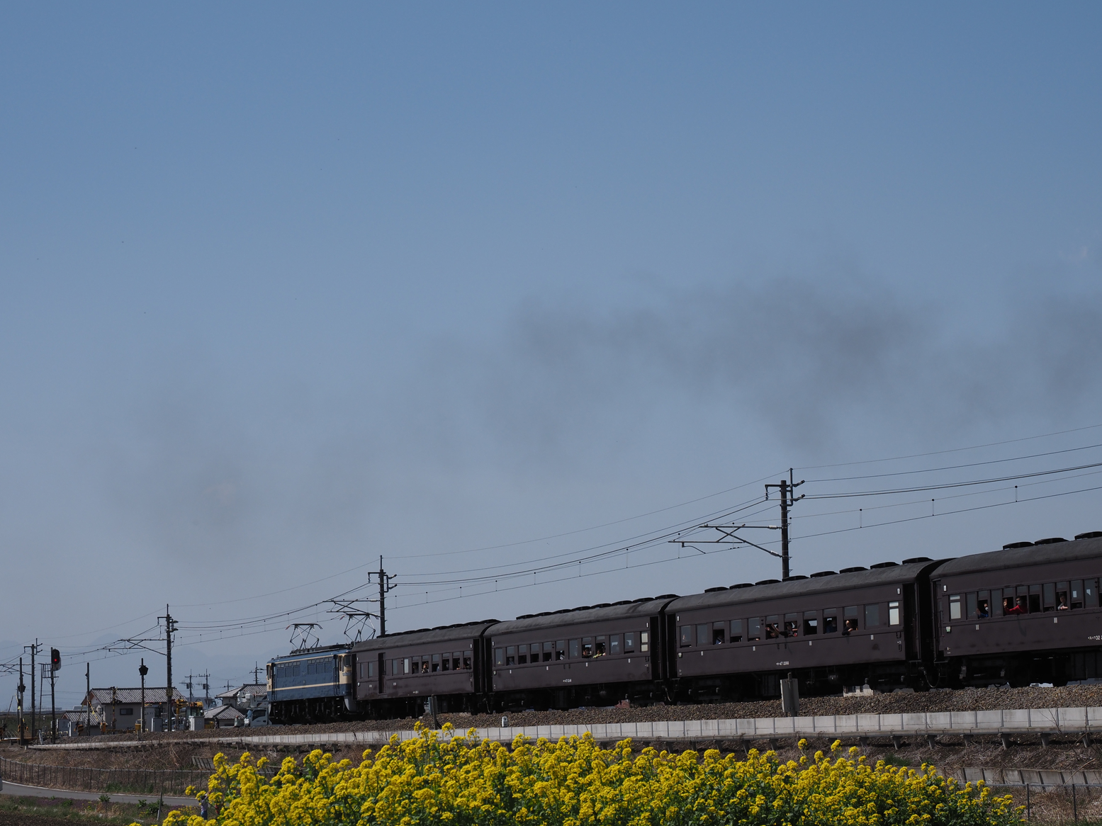 P3300349.jpg