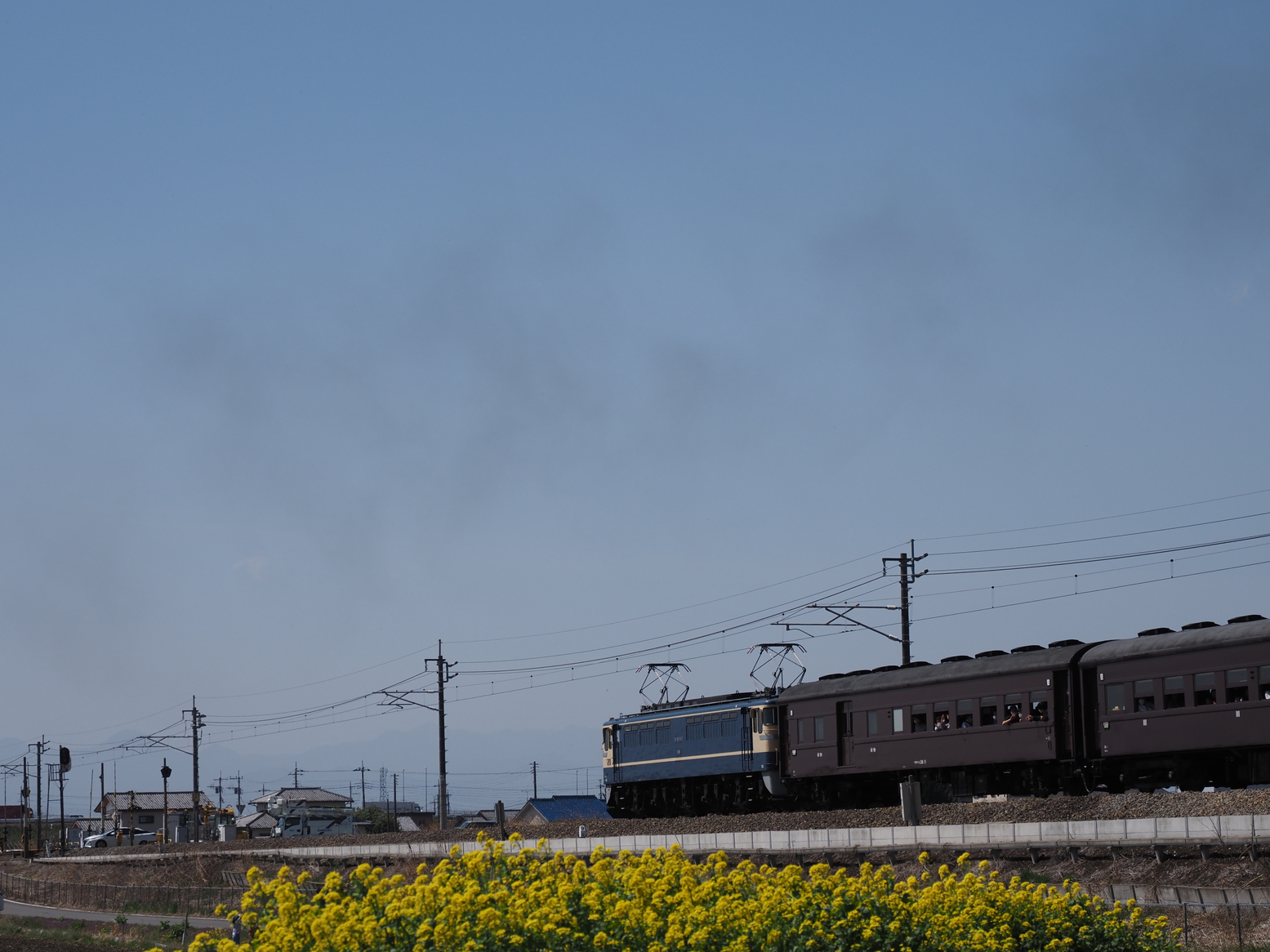 P3300369.jpg