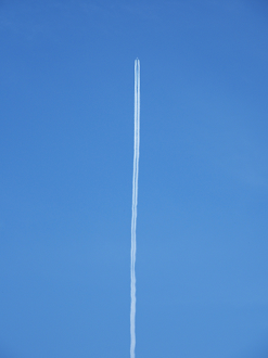 P3310700_thumb.png