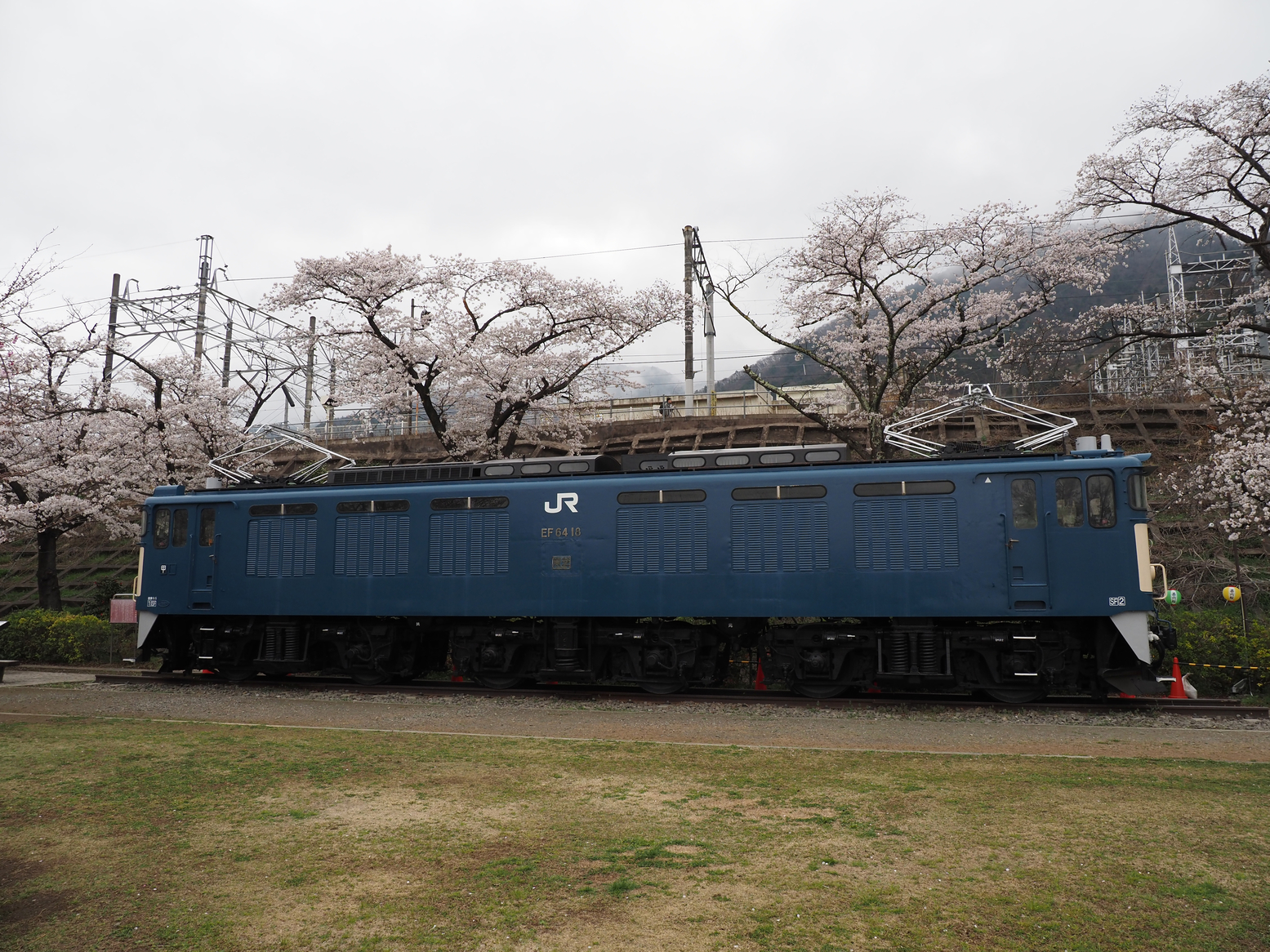 P4061187.jpg
