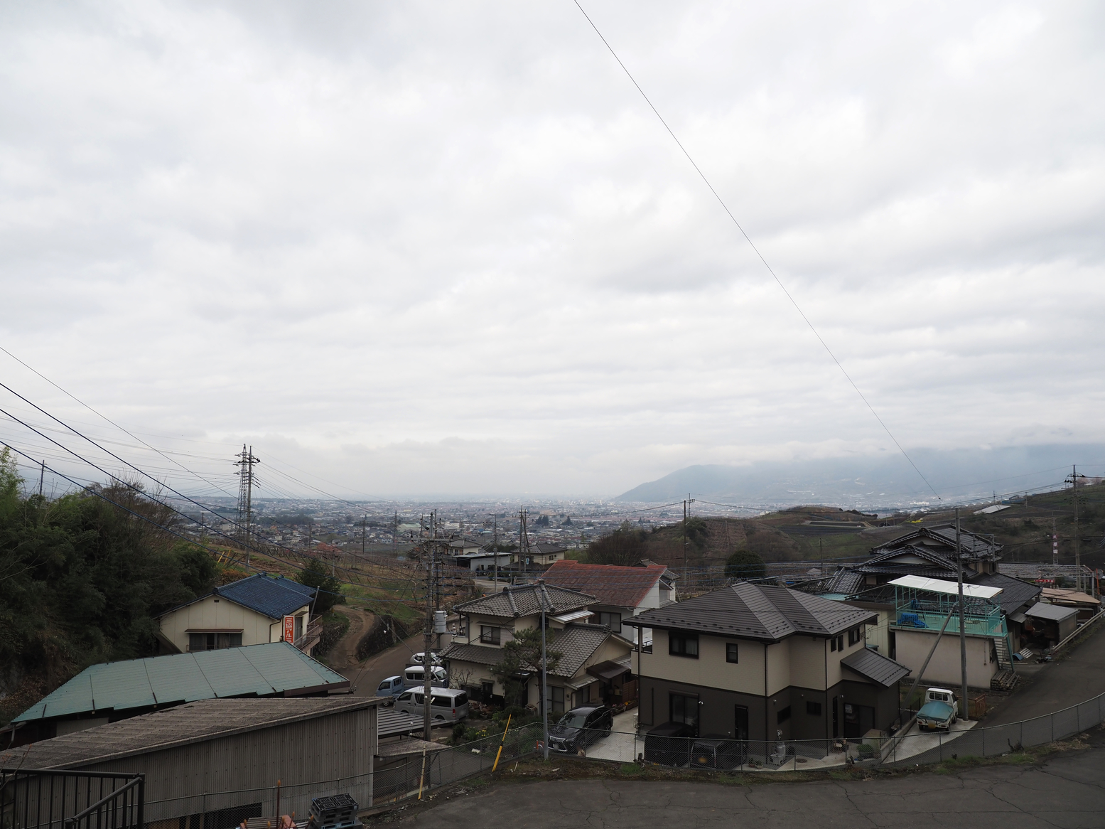P4061194.jpg