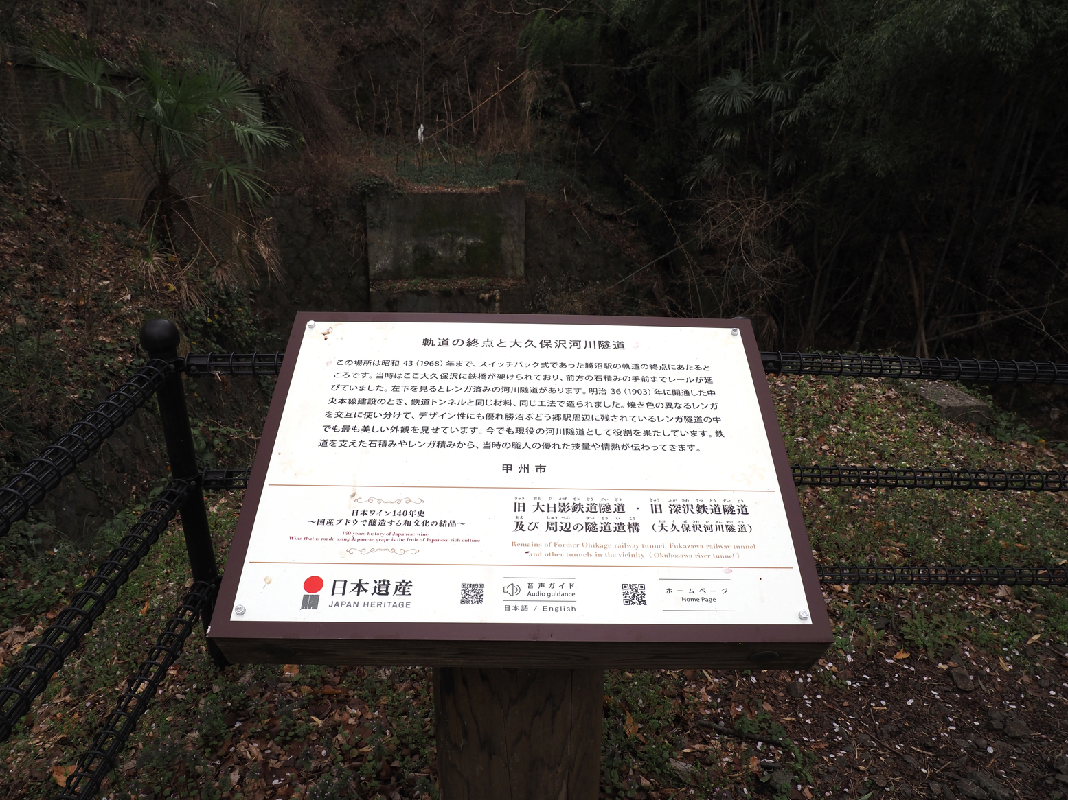P4061195.jpg