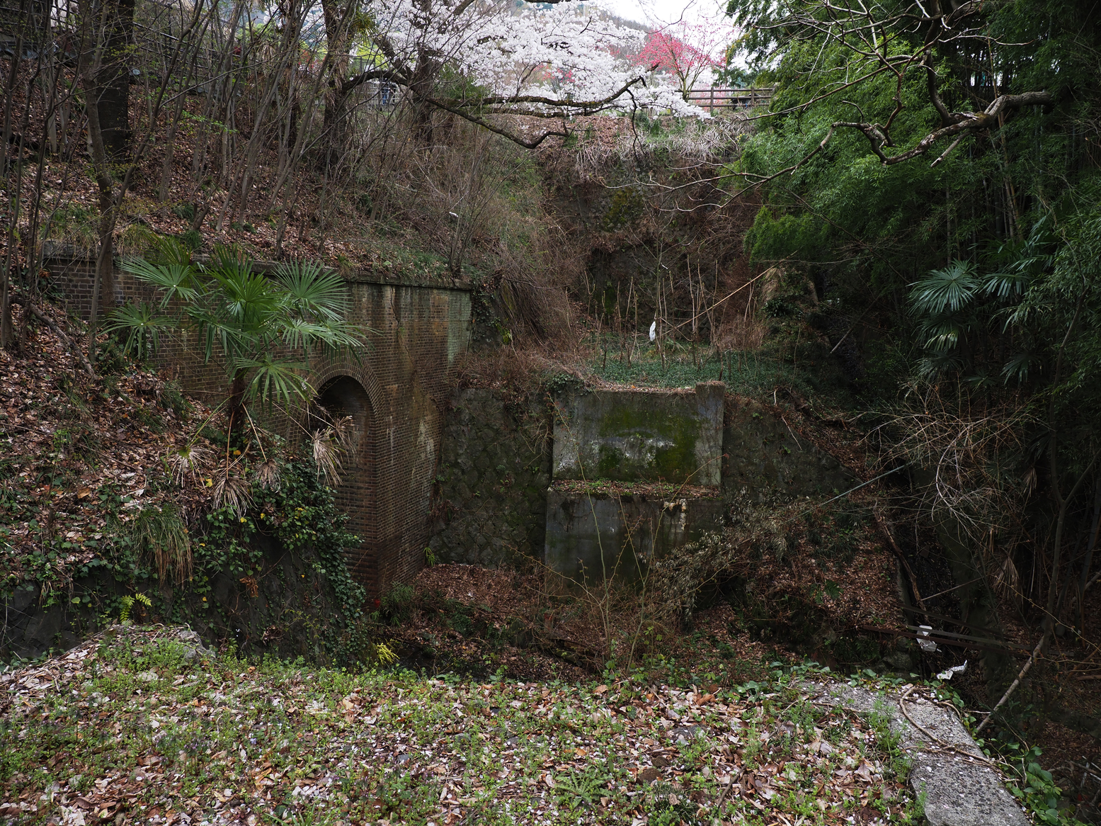 P4061196.jpg