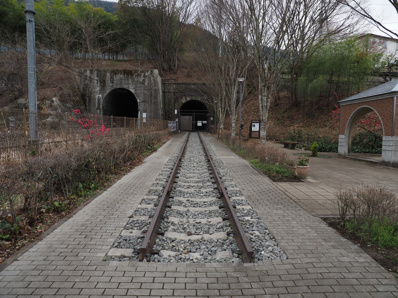 P4061197.jpg