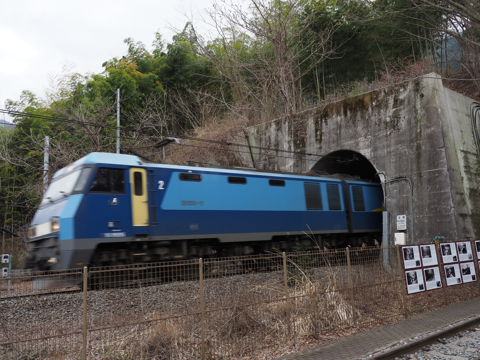 P4061216.jpg