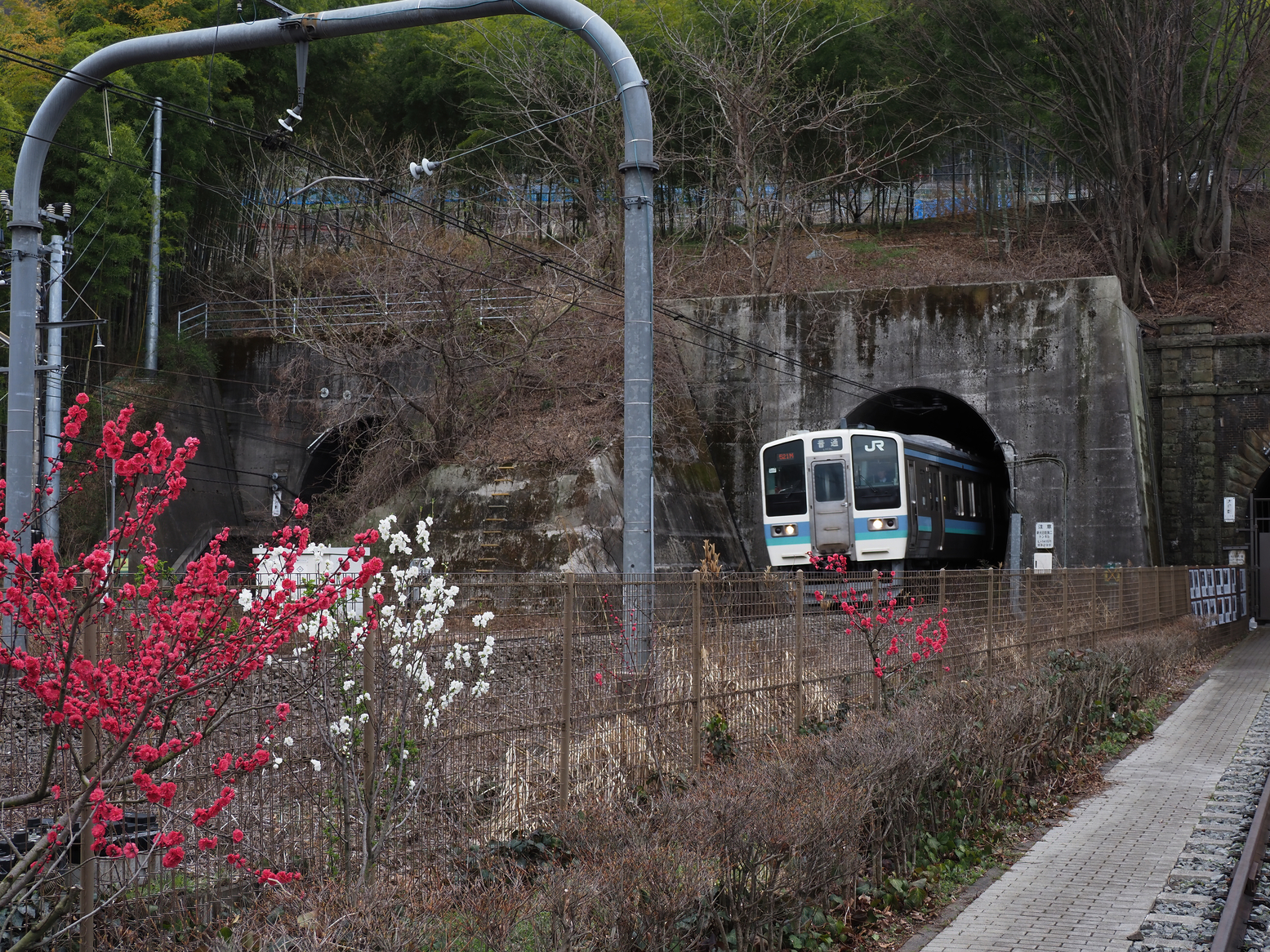 P4061254.jpg