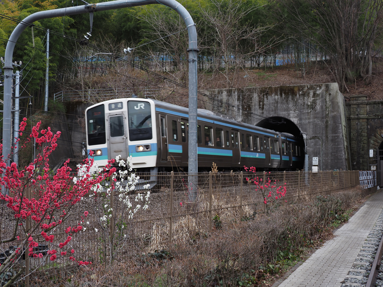 P4061268.jpg