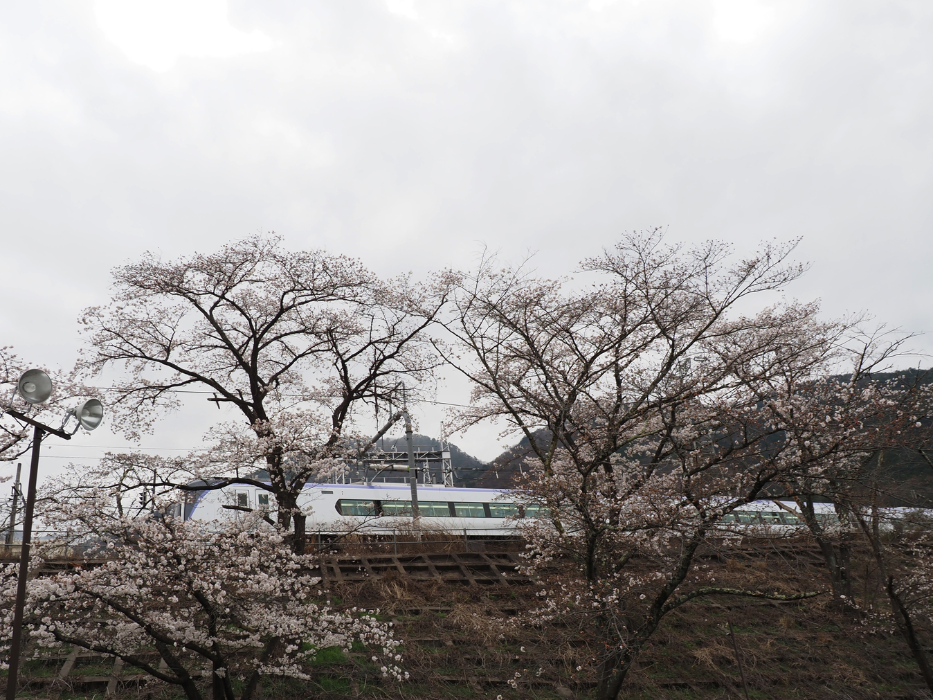 P4061321.jpg