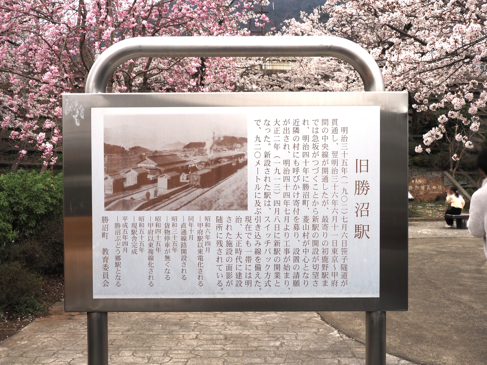 P4061349.jpg
