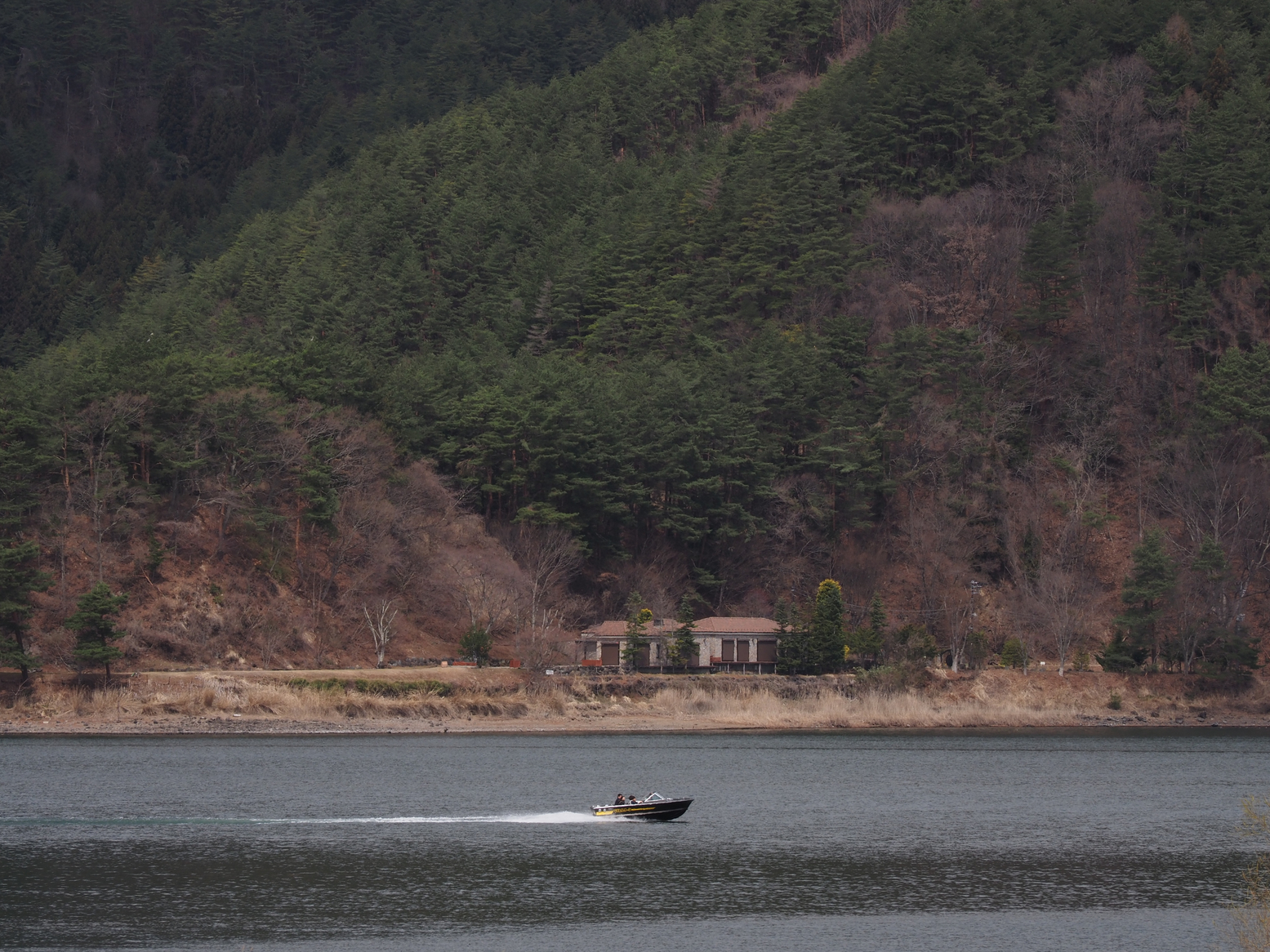 P4061351.jpg