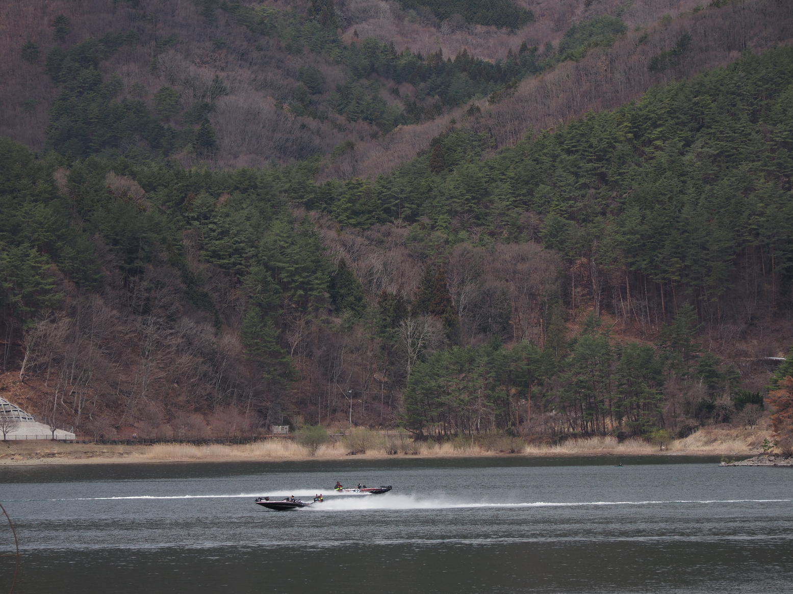 P4061356.jpg