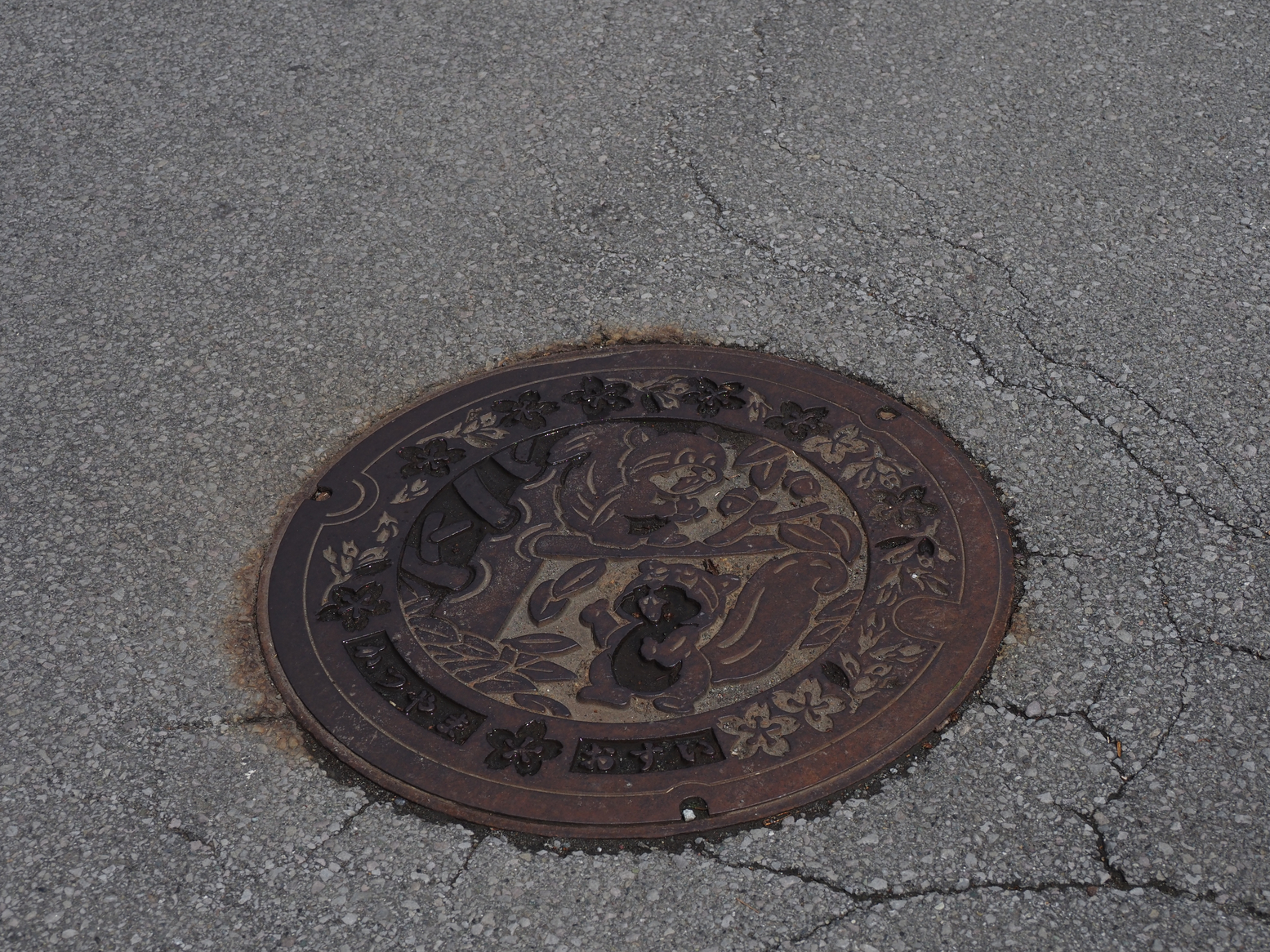 P4061358.jpg