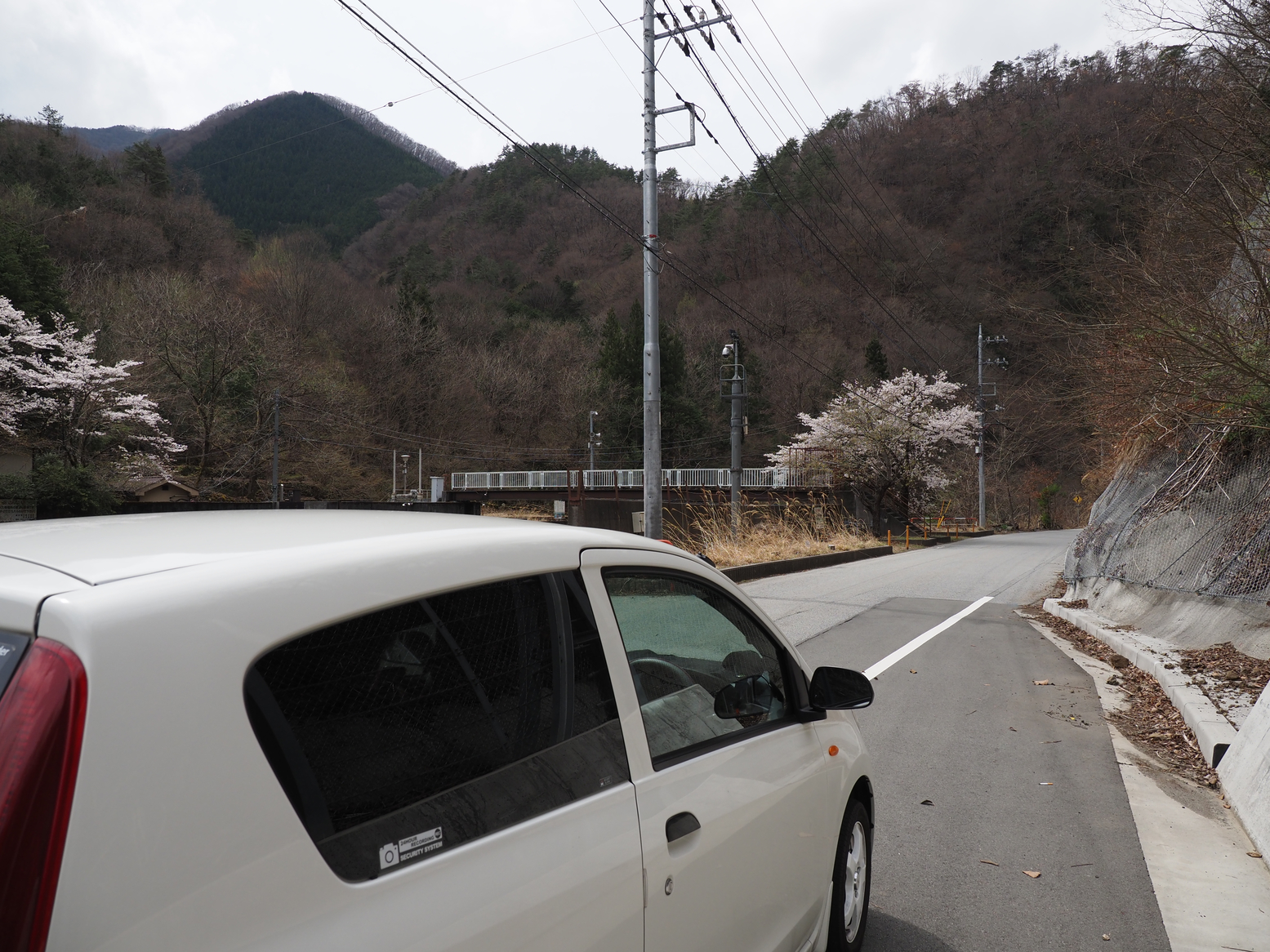 P4061377.jpg
