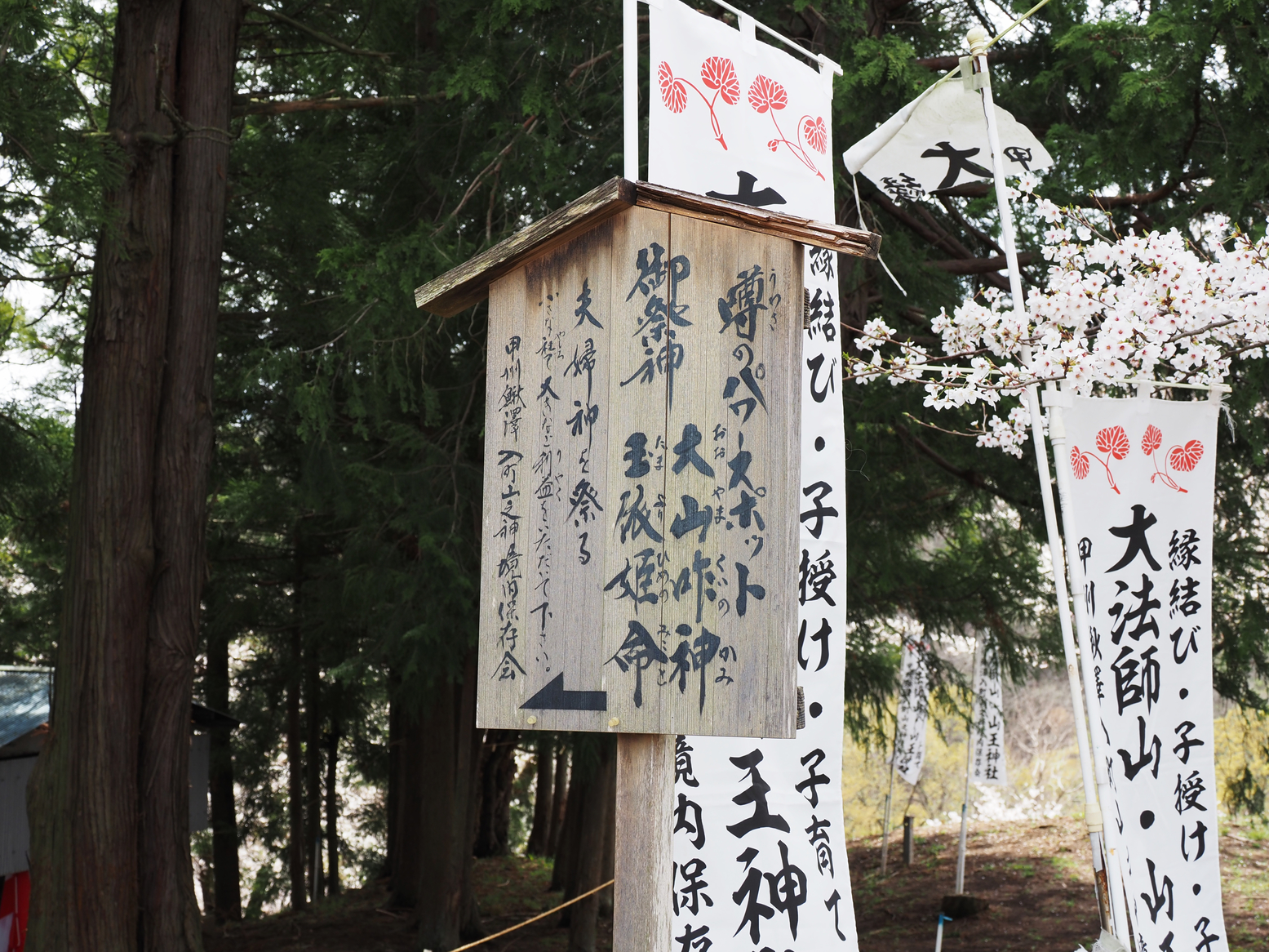 P4061390.jpg