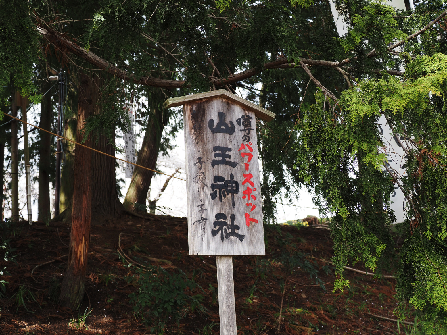 P4061409.jpg