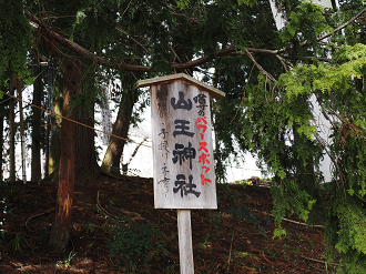 P4061409_thumb.png