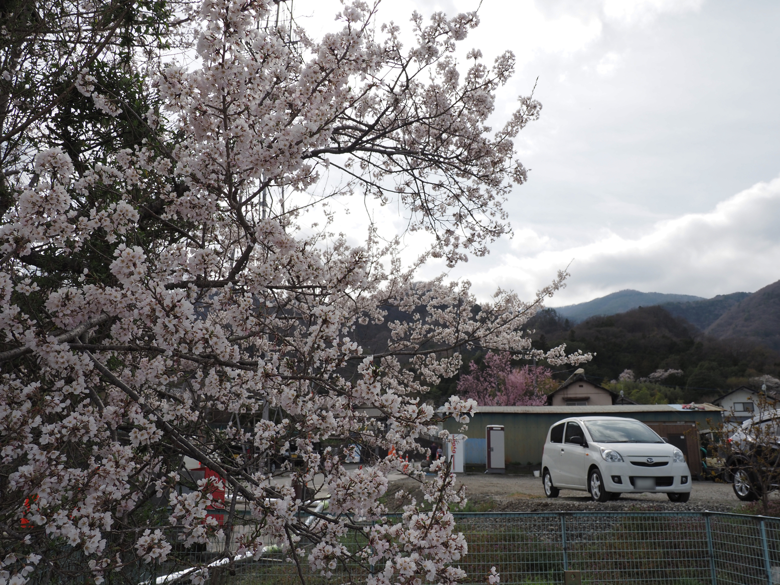 P4061505.jpg