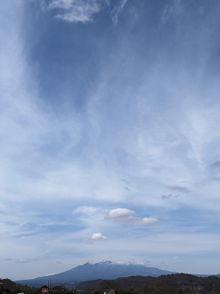 P4061536_thumb.png