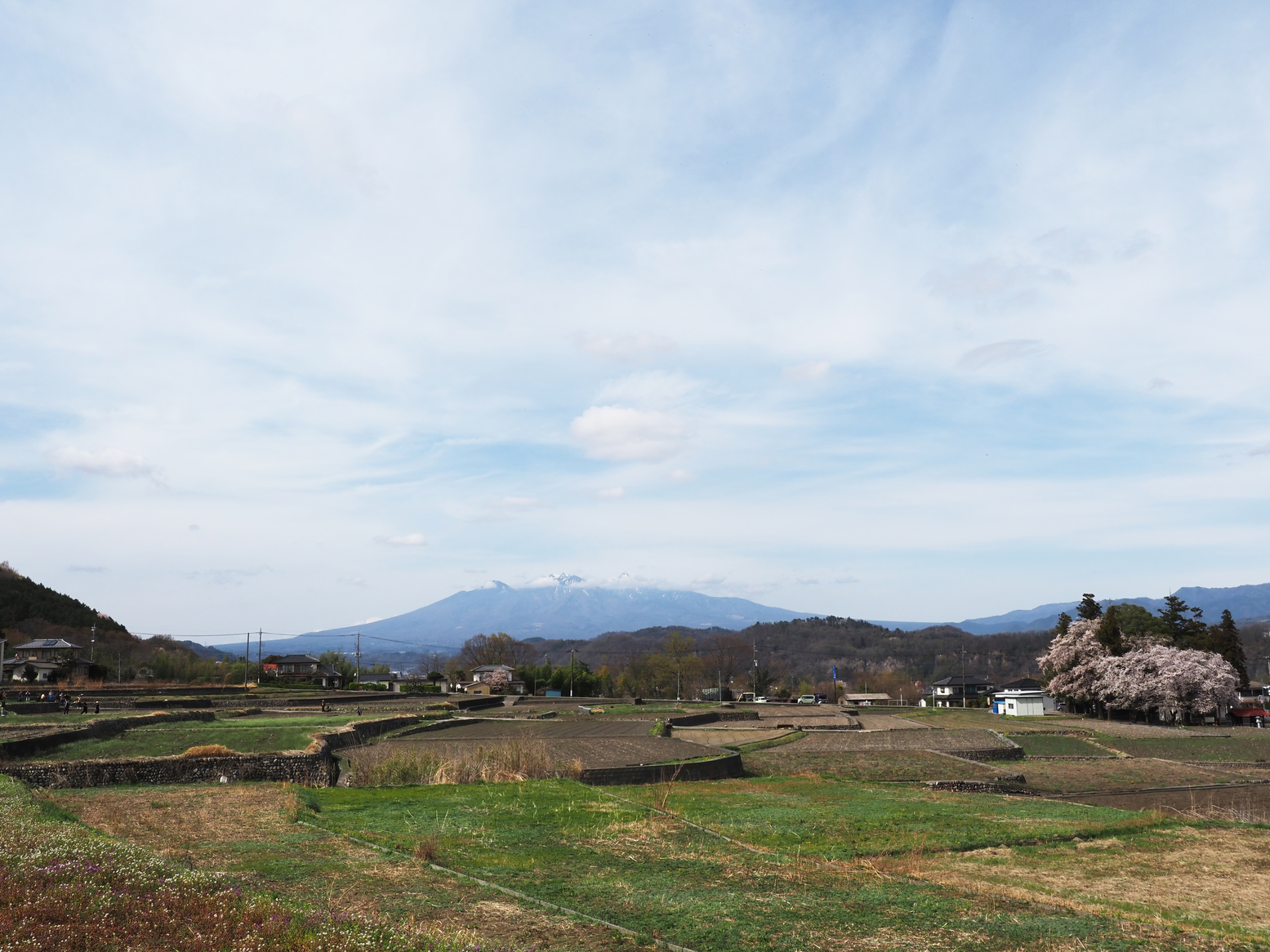 P4061545.jpg