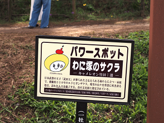 P4061551_thumb.png