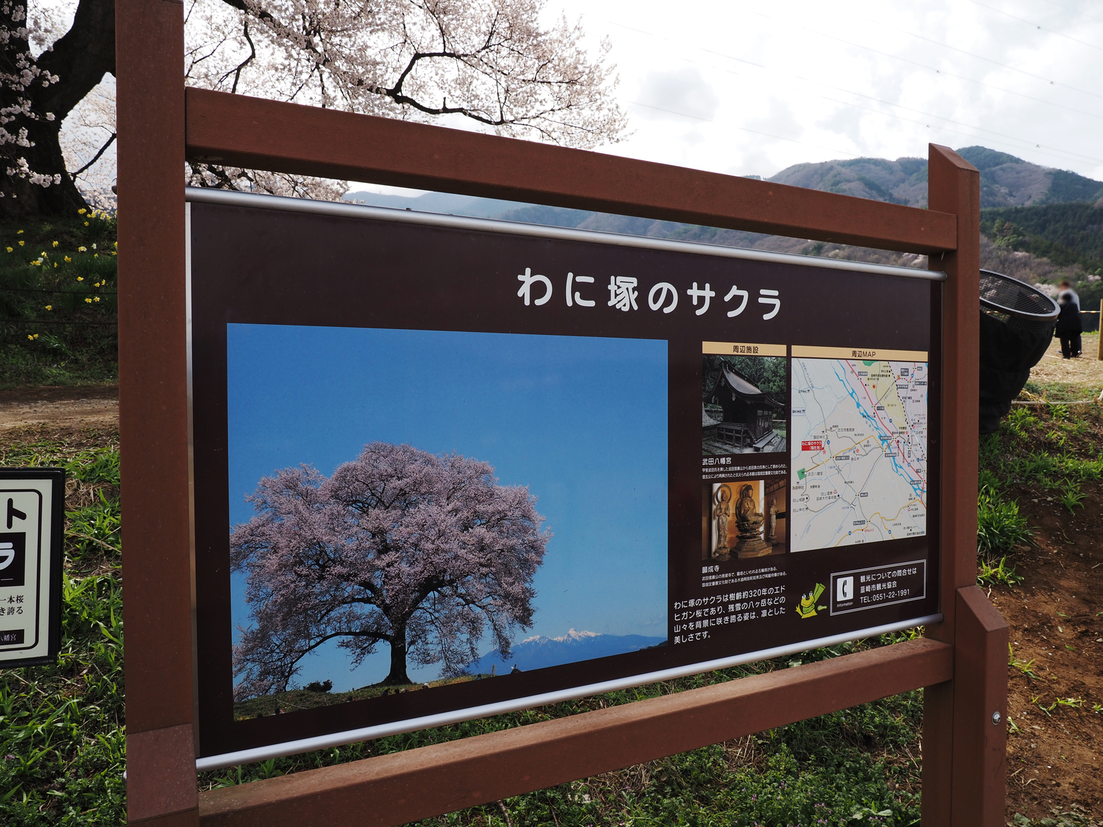 P4061552.jpg