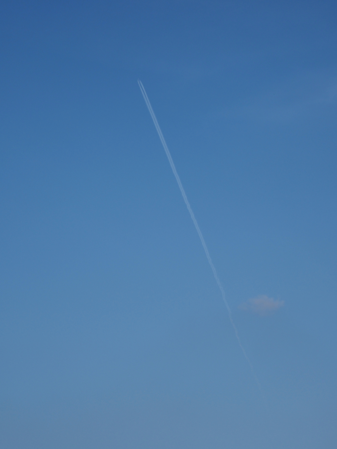 P4071834.jpg
