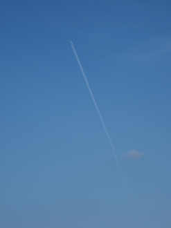 P4071834_thumb.png