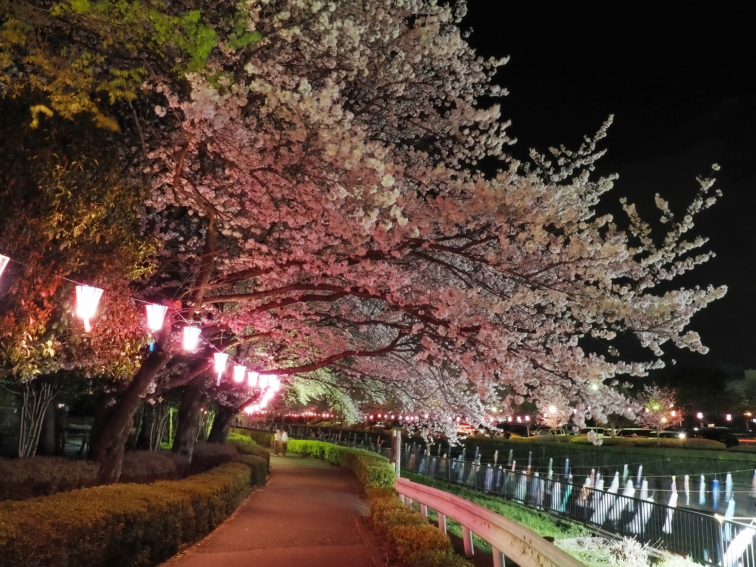 P4071857.jpg