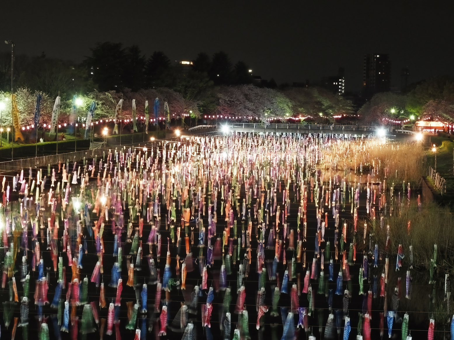 P4071867.jpg