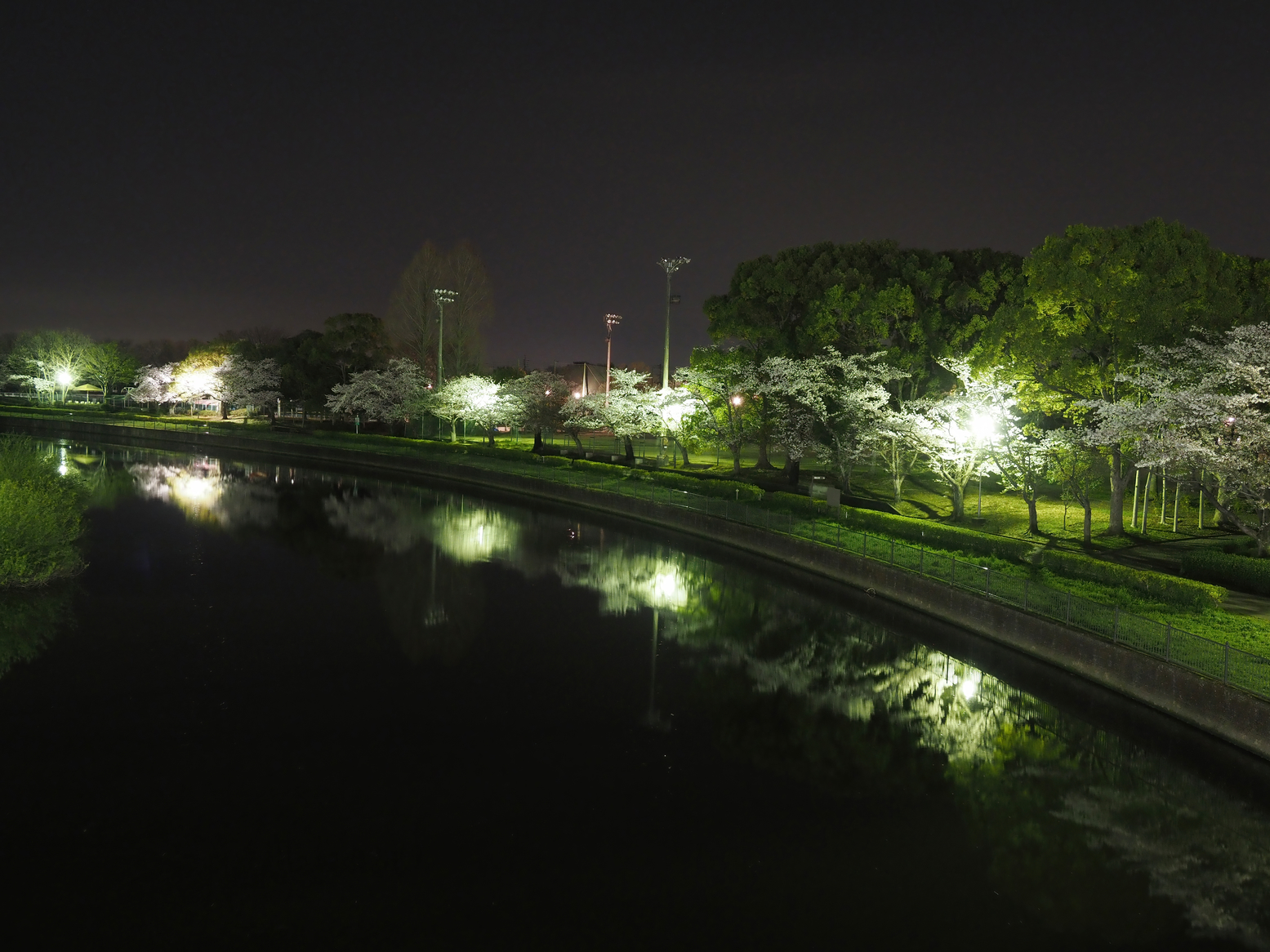 P4071871.jpg