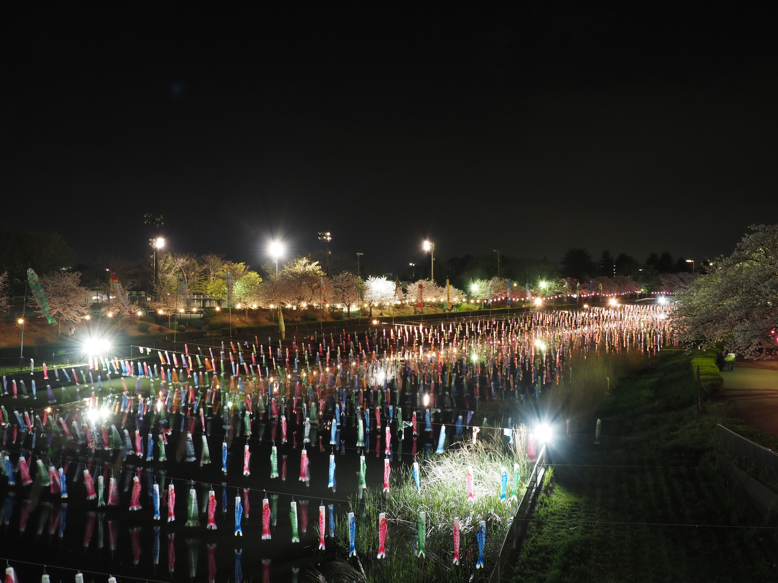 P4071873.jpg