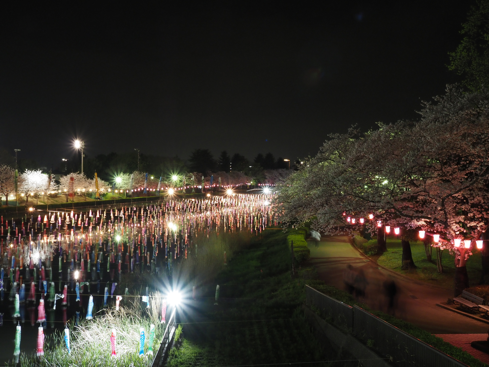 P4071876.jpg