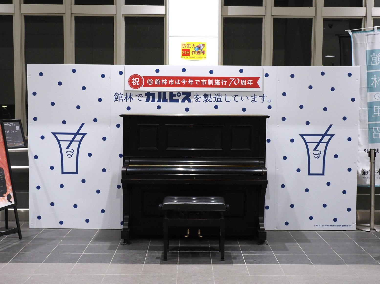 P4071910.jpg