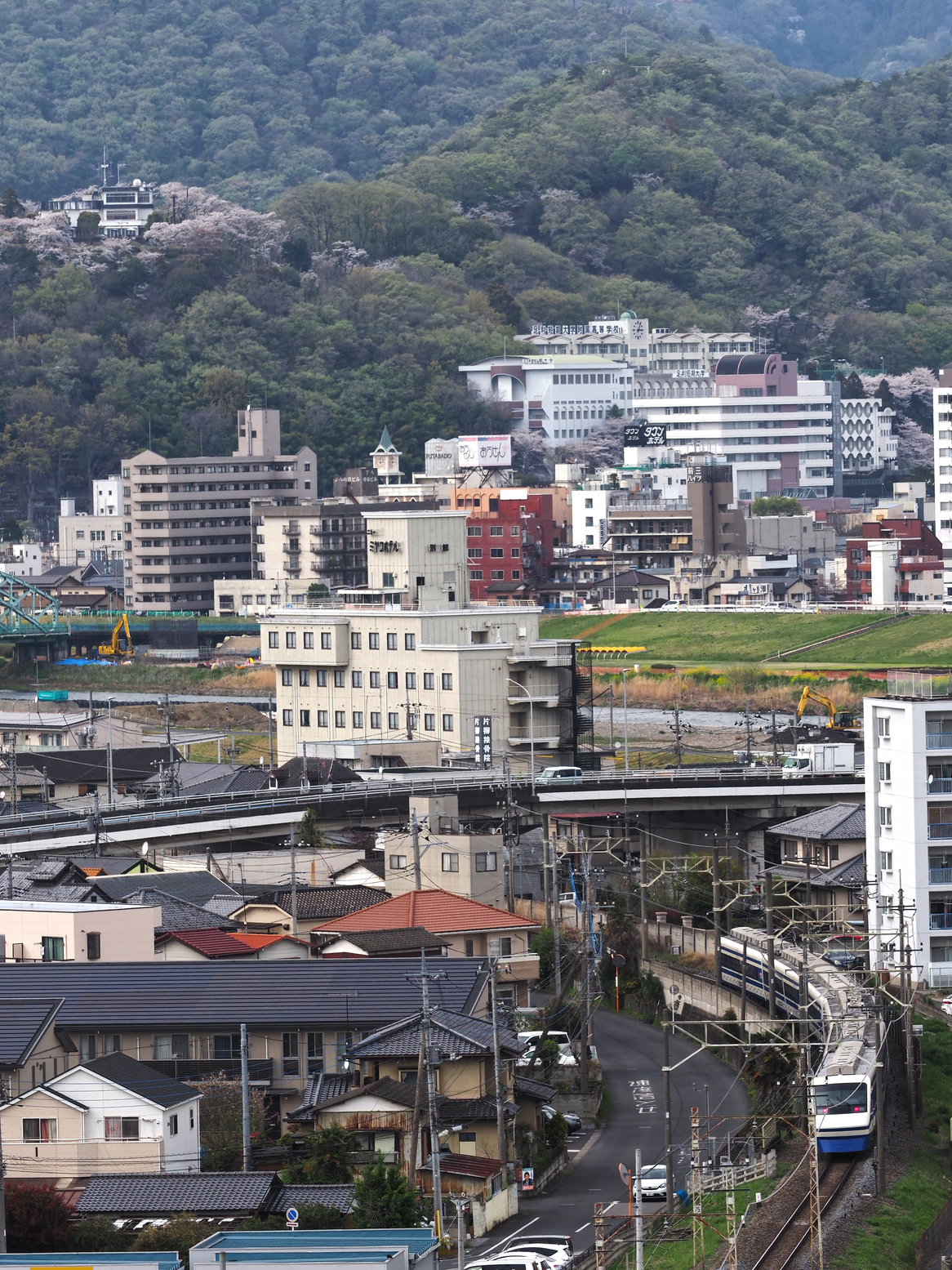 P4111951.jpg