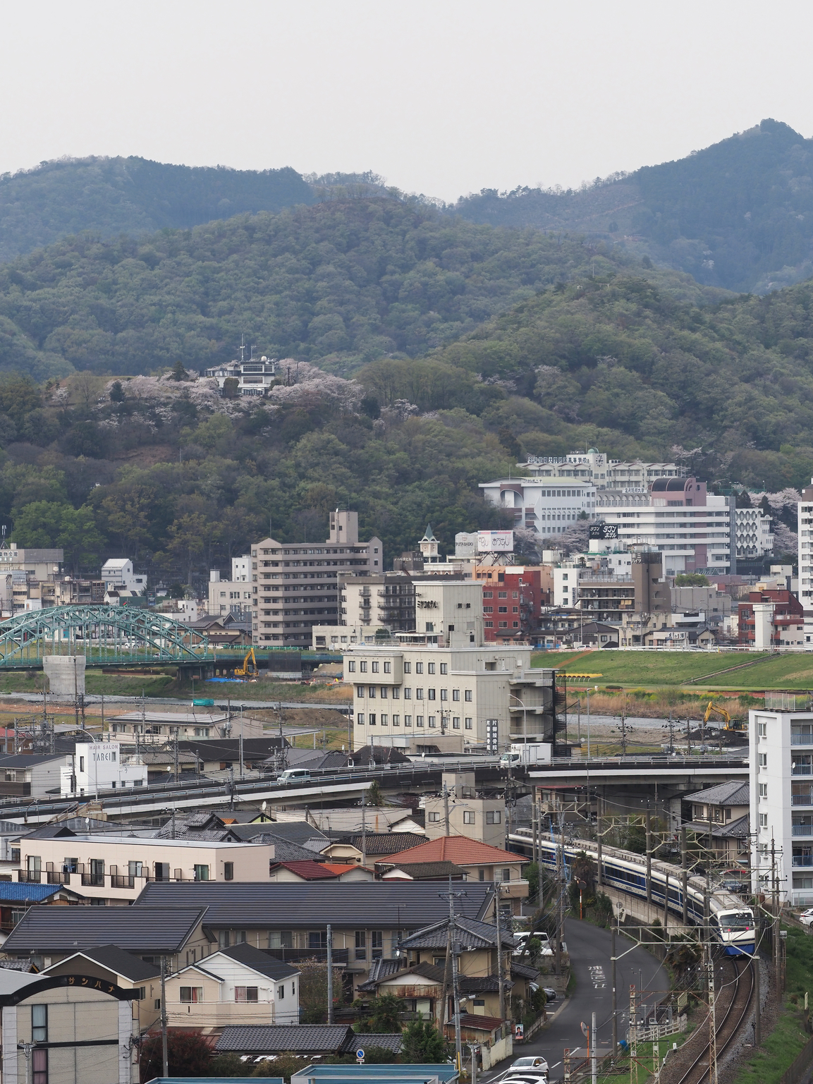 P4111961.jpg